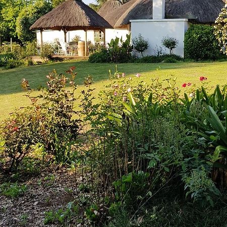 Piccadilly Farm Cottages Lions River Exteriör bild
