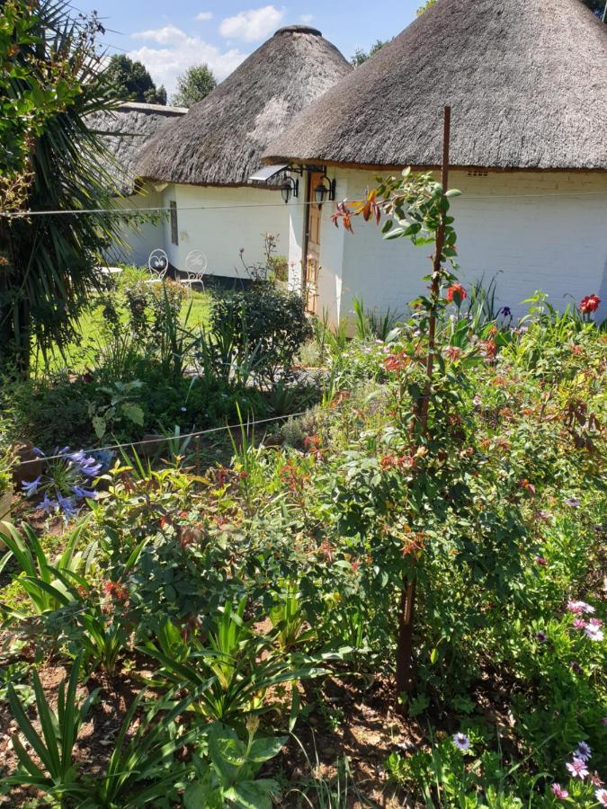 Piccadilly Farm Cottages Lions River Exteriör bild