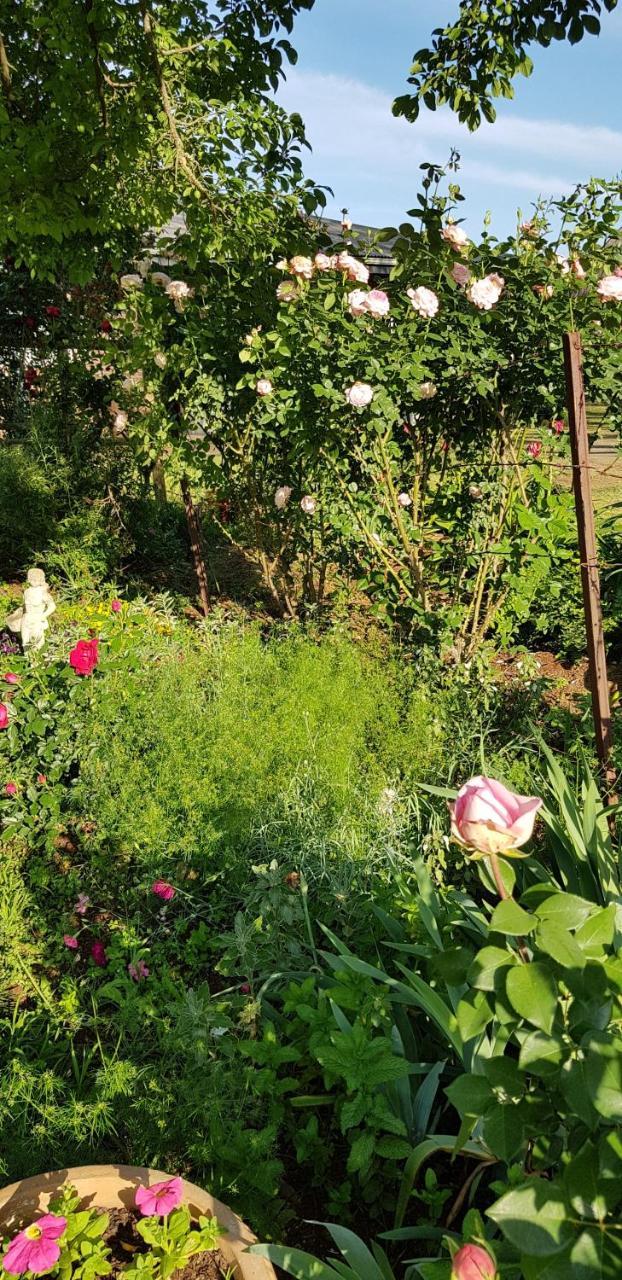 Piccadilly Farm Cottages Lions River Exteriör bild
