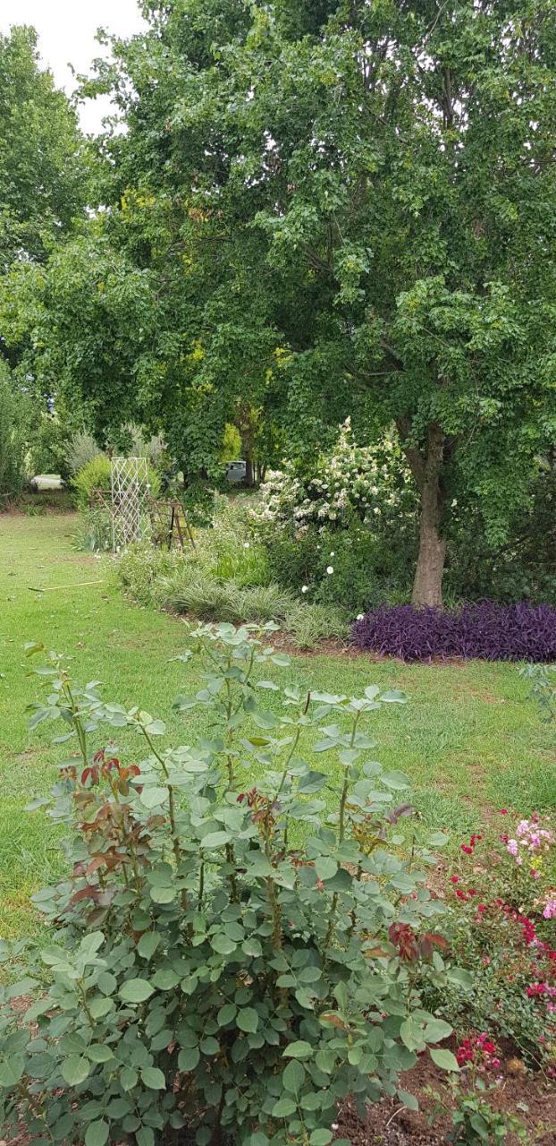 Piccadilly Farm Cottages Lions River Exteriör bild
